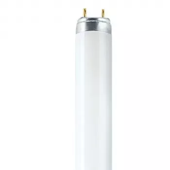 OSRAM L T8 36W/840 G13 fluorescencinė lemputė 1200mm 4000K Cool White