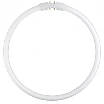 Osram Liumilux T5 FC apvali liuminescencinė lempa 22W 840 2GX13