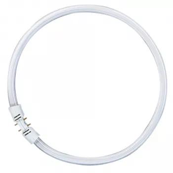 OSRAM LUMILUX T5 FC Cirkulinė fluorescencinė lempa 55W 865 Dienos šviesa 2GX13
