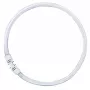 OSRAM LUMILUX T5 FC Cirkulinė fluorescencinė lempa 55W 865 Dienos šviesa 2GX13