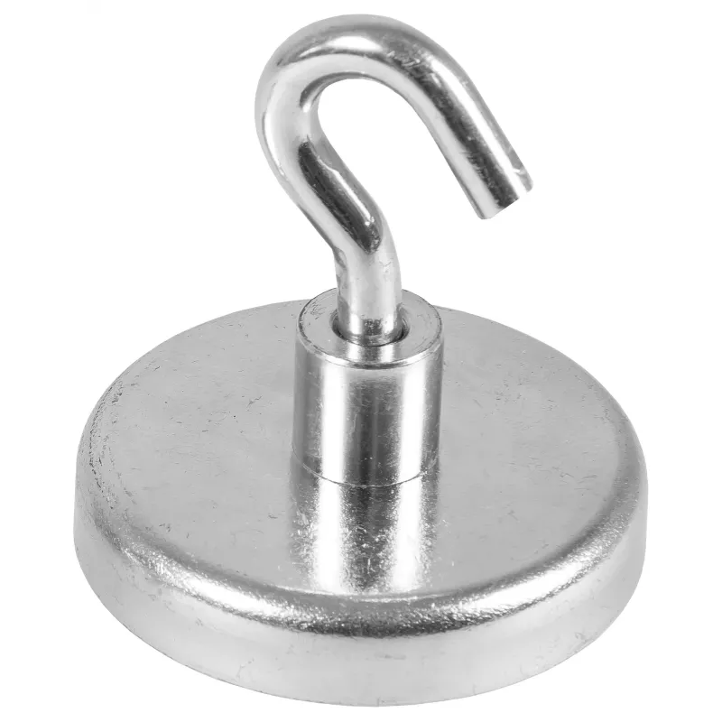 Eichner Magnetic Hook Silver, Metal Ø 3.6 x 1,7 cm, 5 Pieces