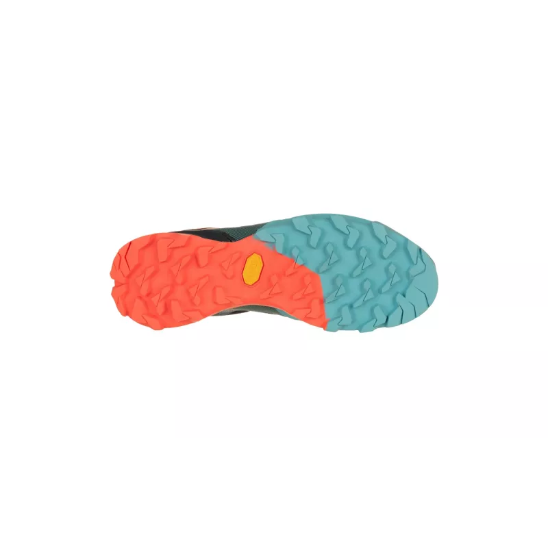 SALEWA Women's GTX Shoes Dynafit Transalper - Mėlyna
