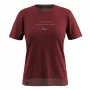 Moteriški marškinėliai Salewa Eagle Eitd AM T-Shirt
