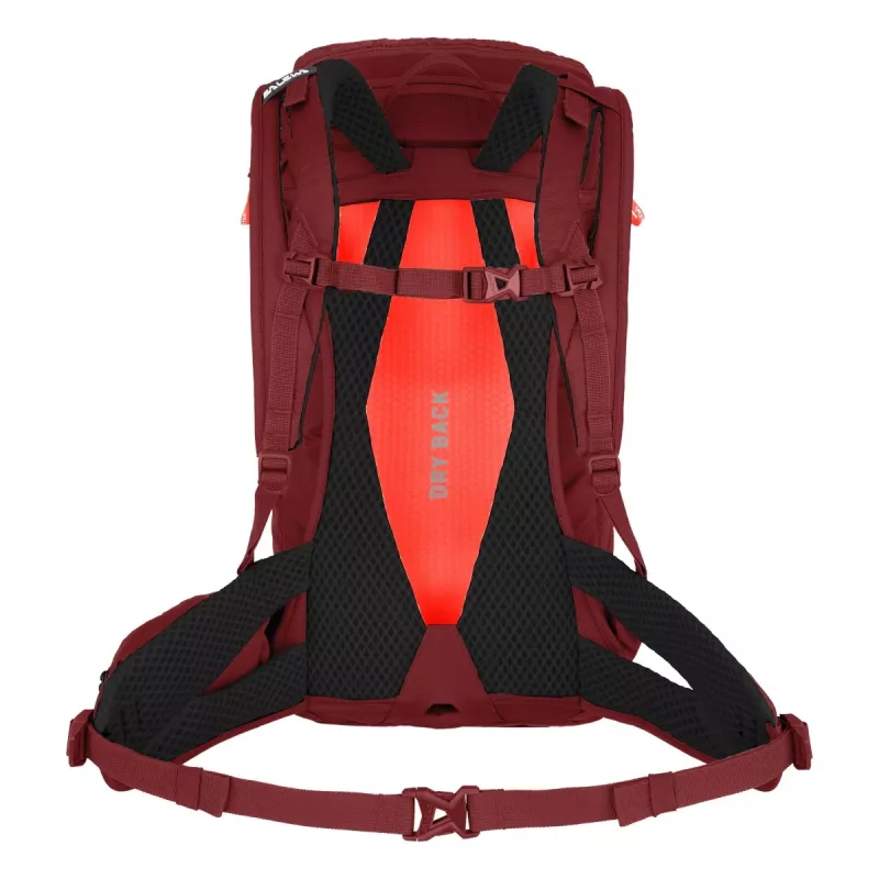 SALEWA Alp Trainer 20 Women's Backpack Syrah