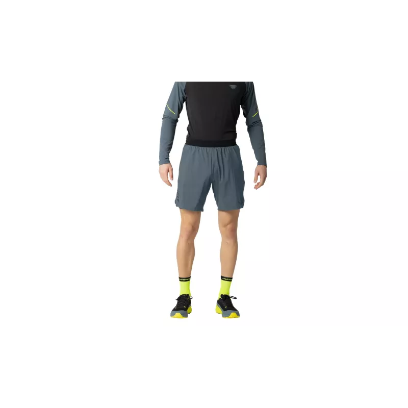 SALEWA Dynafit Alpine Pro 2/1 Šortai - Cinder - Dydis M