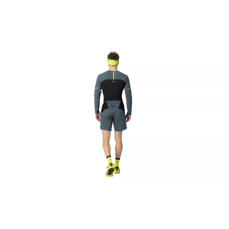 SALEWA Dynafit Alpine Pro 2/1 Šortai - Cinder - Dydis M