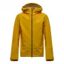 SALEWA Ortles GTX 3L Striukė Vyrams Auksinė Ruda EU 48 M