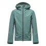 SALEWA Ortles GTX 3L Jacket Men's Epe/Willow EU 48/M