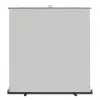 walimex pro Roll-up Panel Background 210x220 cm pilka