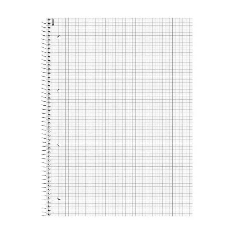 BRUNNEN College Block Student DUO DIN A4 Lined and Squared