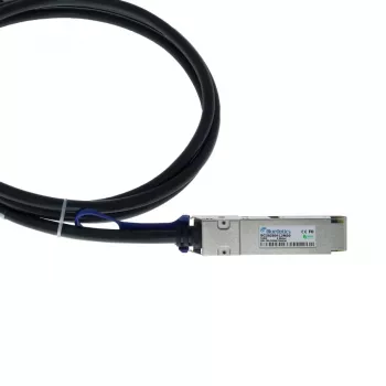 BlueOptics Ruckus 100G-Q28-Q28-C-0201 suderinamas BlueLAN DAC QSFP28 pasyvus varinis kabelis 2m (6,56 pėd.) 30 AWG