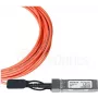 BlueOptics Molex 747642301 suderinamas BlueLAN QSFP+ į 4x SFP+ Breakout Direct Attach Cable (DAC) - Pasyvus 40 Gbps į 4x 10 Gbps - 3 m - Twinaxial varinis