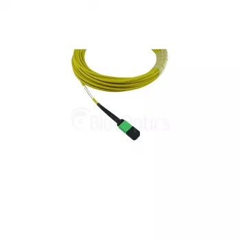 BlueOptics Cisco CB-M12-M12-SMF3M MPO į MPO vienmodis šviesolaidinis jungiamasis kabelis 3 m (9/125 µm) G.657.A1 LSZH geltonas