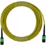 BlueOptics MPO magistralinis kabelis vienmodis 12 gyslų 2 metrai B tipo