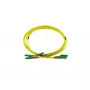 BlueOptics Duplex Fibre Optic Patch Cable E2000-APC/E2000-APC OS2 Single Mode 2m Green