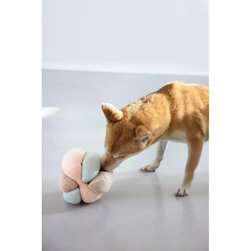 PALOPA uostymo kamuolys šunims, modulinis žaislas Brino Mellow Pastels