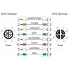 METZ CONNECT 142M2X12020 - 2 m - Cat6a - M12 - M12 - Green
