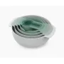 Joseph Joseph Nest 9 Plus 9 dalių rinkinys, šalavijo spalvos (40112)