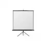 Reflecta Crystal-Line Tripod 240x240 cm matinis baltas projekcinis ekranas