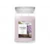 Yankee Candle Signature Dried Lavender & Oak Large Jar Candle 567g