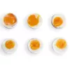 Kiaušinių virimo aparatas FRITEL Family Egg Cooker 400W juodas/skaidrus