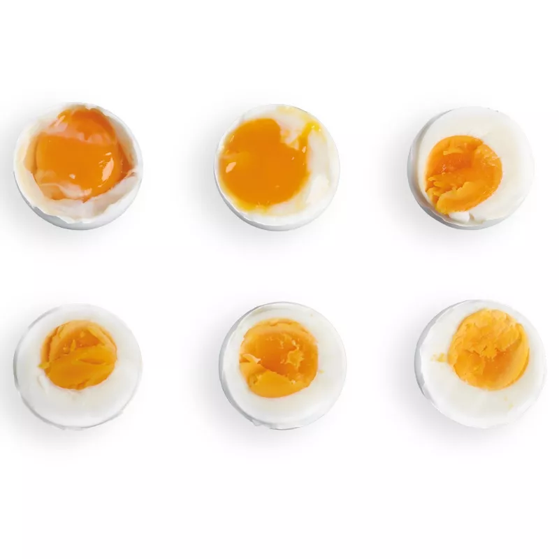 Kiaušinių virimo aparatas FRITEL Family Egg Cooker 400W juodas/skaidrus