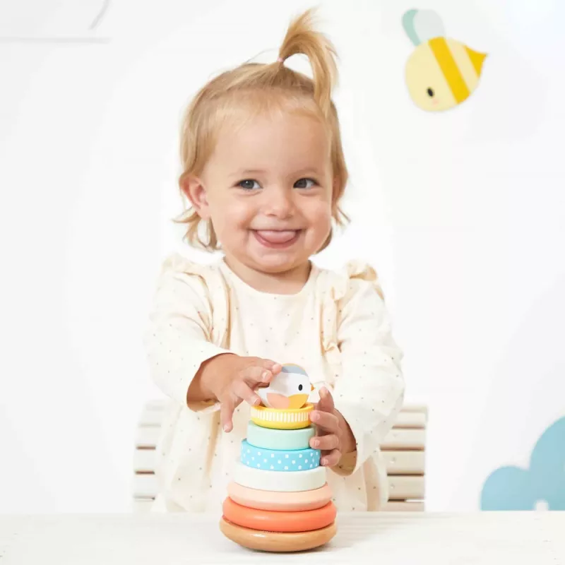 Janod Pure medinė rikiavimo piramidė – lizdiniai kubeliai, 5 vnt., nuo 12 mėn.