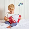 Janod Gioia Accordion