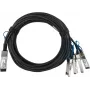 BlueLAN suderinamas Mellanox MCP7H50-V001R30 pasyvus 200GBASE-CR4 QSFP56 į 2x100GBASE-CR2 QSFP56 tiesioginio prijungimo atšakinis kabelis, 1 metras, AWG26