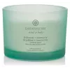 Chesapeake Bay Candle Balance & Harmony Large Scented Candle 3 Wicks 312 g