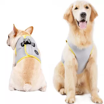 MOZOS PV-COOL Dog Cooling Vest Harness M Blue