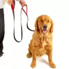 MOZOS DL5M Premium Training Leash 5m Black