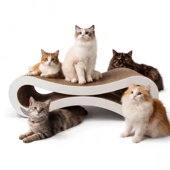 MOZOS KITTY-SPIKE Kačių draskyklė ir poilsio lovelė, kartoninė, didelė, 86 cm XXL