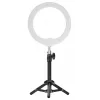Newell LED žiedinė šviesa RL-10A Arctic White + Tripod
