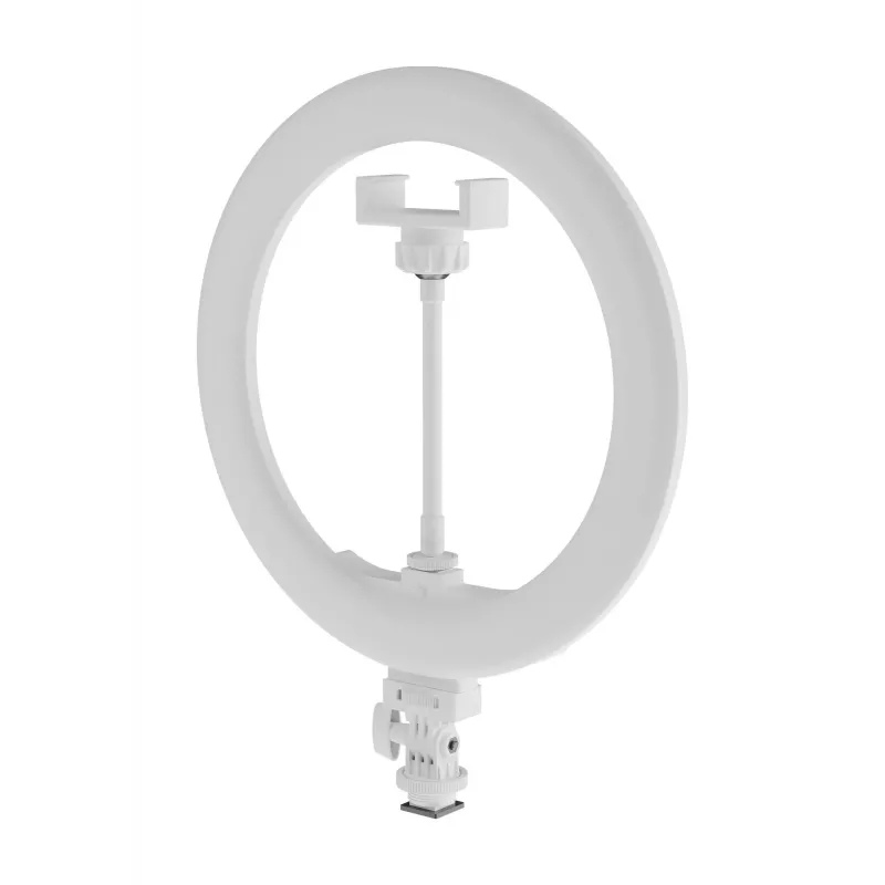 Newell LED žiedinė šviesa RL-10A Arctic White + Tripod