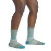Darn Tough Mountaineering Micro Crew Heavyweight Full Cushion Women's Socks - Reed, Size L