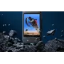 Insta360 X3 ekrano apsauga Insta360