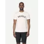 Devold Classic Legacy Tee Merino vilnos marškinėliai - Balti L dydis