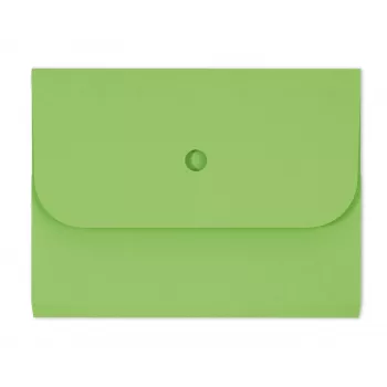 ELCO 25 Collection Folders Ordo Forte 3 mm Spine Green A4