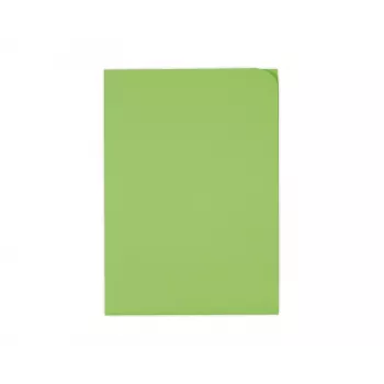 ELCO 100 dokumentų įdėklai Ordo discreta Intense Green Smooth DIN A4