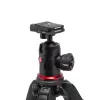 Manfrotto 190X aliumininis trikojis su 496RC2 rutuline galvute (juoda)