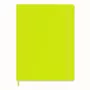 Moleskine Classic Notebook Hard Cover A4 Blank Light Green