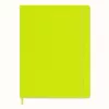 Moleskine Classic Notebook Hard Cover A4 Blank Light Green
