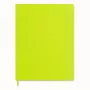Moleskine Classic Notebook Soft Cover A4 Plain Light Green