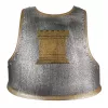 Souza! Roland Knight Breastplate vaikiškas kostiumo aksesuaras