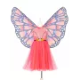 Souza! Butterfly Papillon Costume Dress and Wings Set 3-4 Years