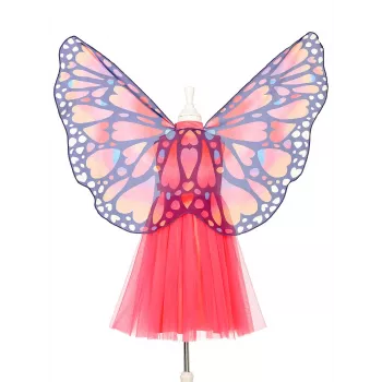 Souza Butterfly Papillon Costume Dress and Wings 5-7 Years