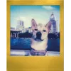 Polaroid Go / Go Gen 2 momentinė juosta – 16 kadrų – auksinis rėmelis