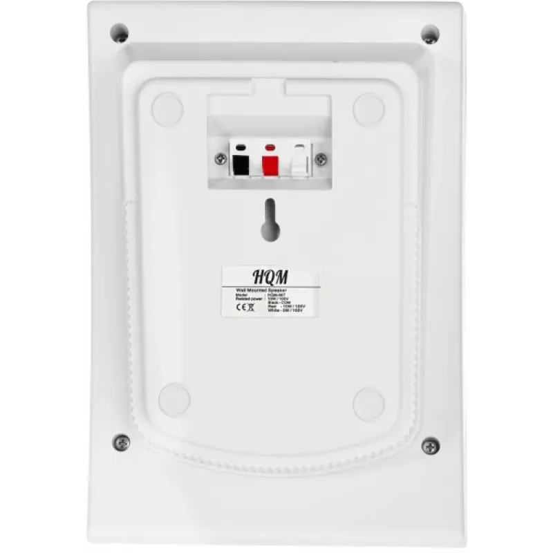 Garsiakalbis sieninis HQM HQM-N10165 10W 100V baltas