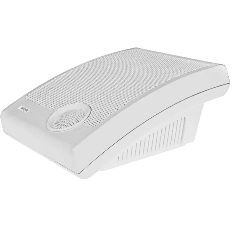 Garsiakalbis sieninis HQM HQM-N10165 10W 100V baltas
